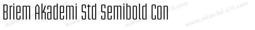 Briem Akademi Std Semibold Cond字体转换